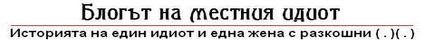 Блогът на местния идиот