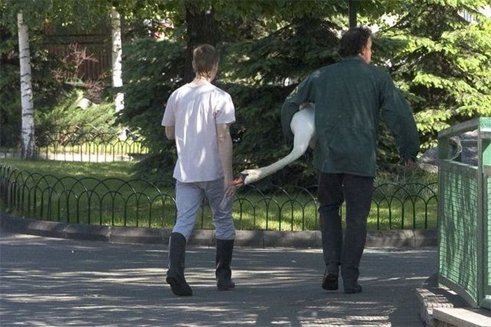 f pics 6639 80 смешни и забавни снимки за 9 ноември 2012 г.