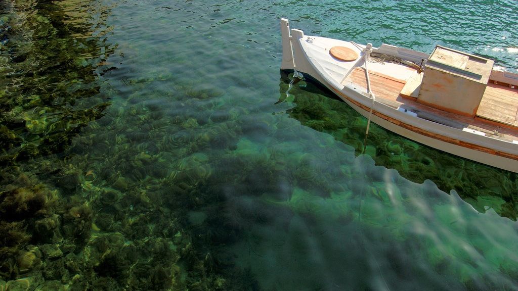 lodki nad voda 03 Лодки над водата