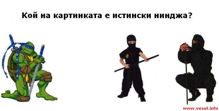 ninja 01 Открий нинджата!