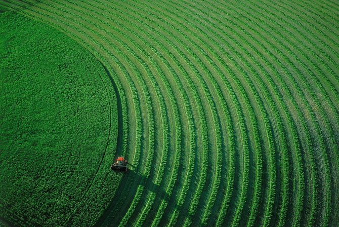 ot ptichi pogled 2 01 Светът от птичи поглед в снимките на Yann Arthus Bertrand