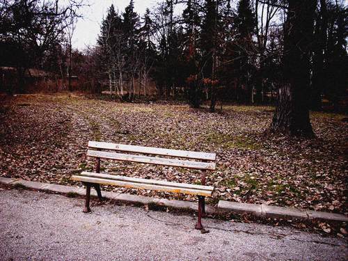 west park bench Един ден от живота на пейка